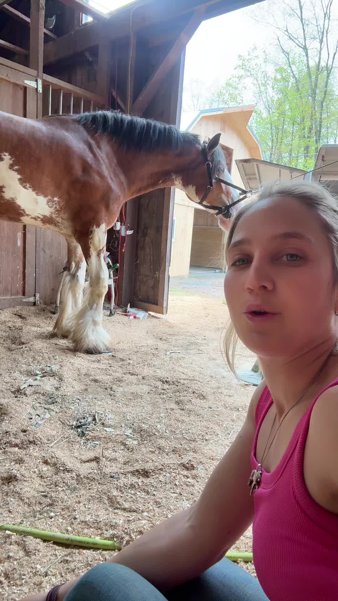 @vtstallgirl
