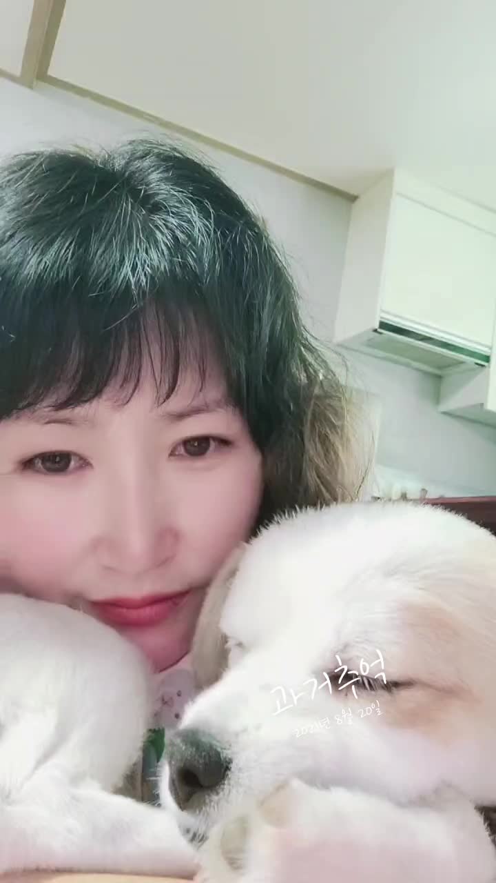 @시골콩콩이