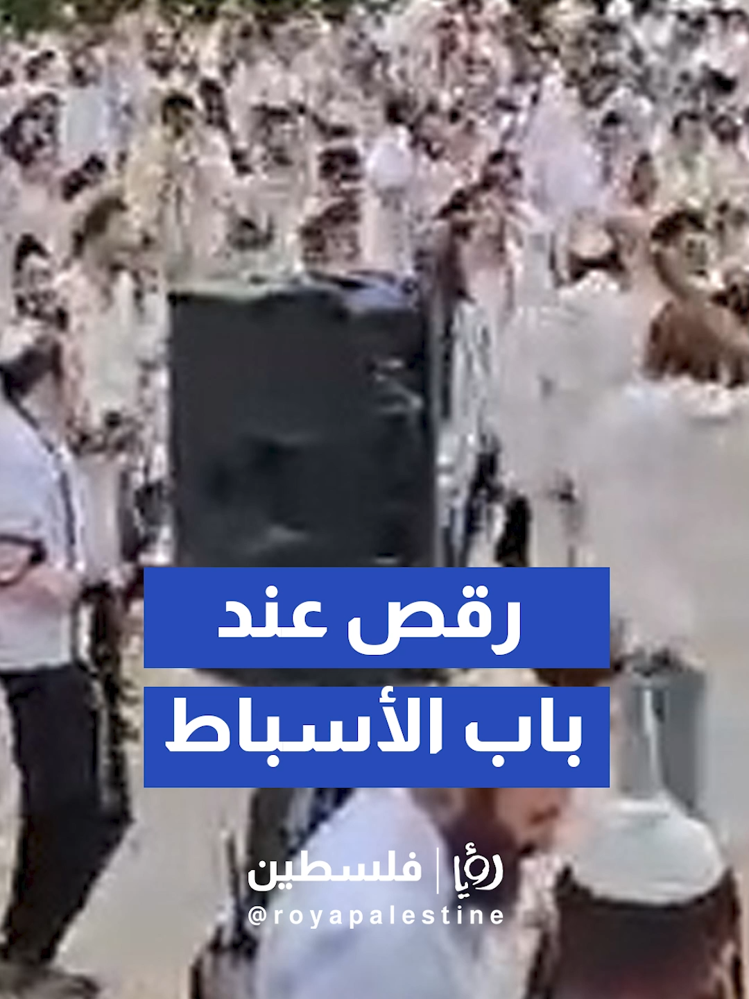 @Royapalestine رؤيا فلسطين