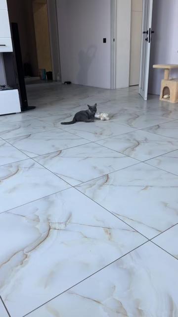 @Анна