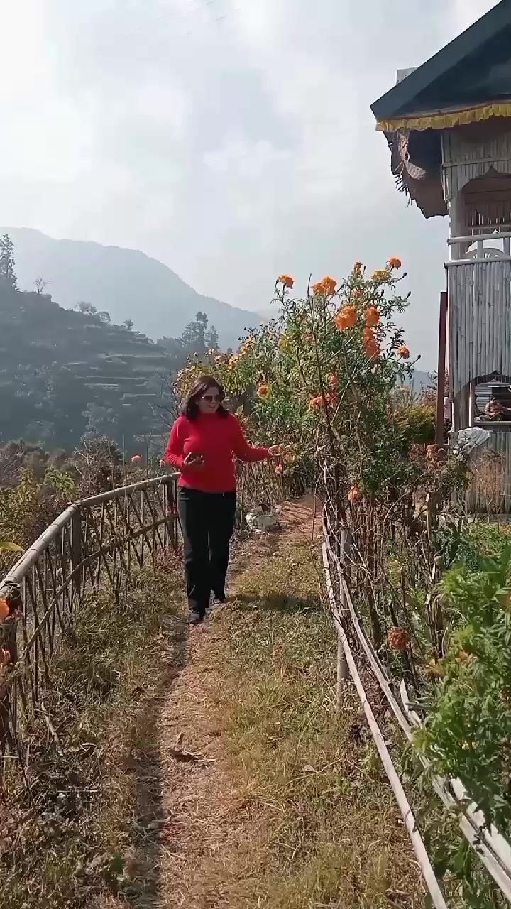 @Narayani Nepal827