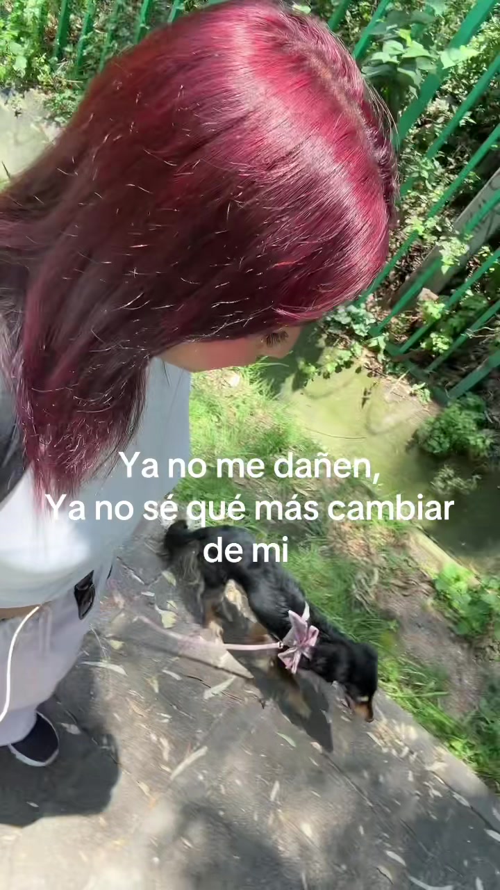 @Luciérnaga