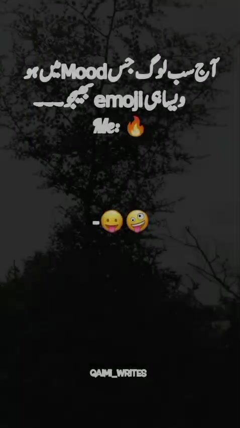 @𝙌𝘼𝙄𝙈𝙄_𝙒𝙍𝙄𝙏𝙀𝙎