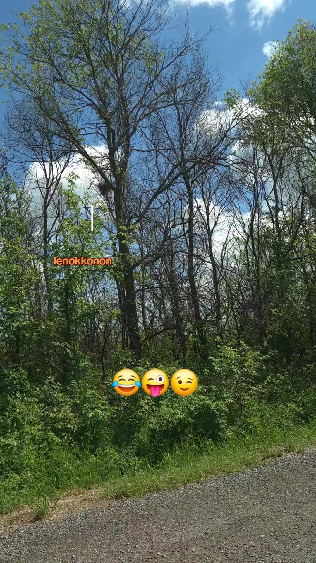 @Lenok