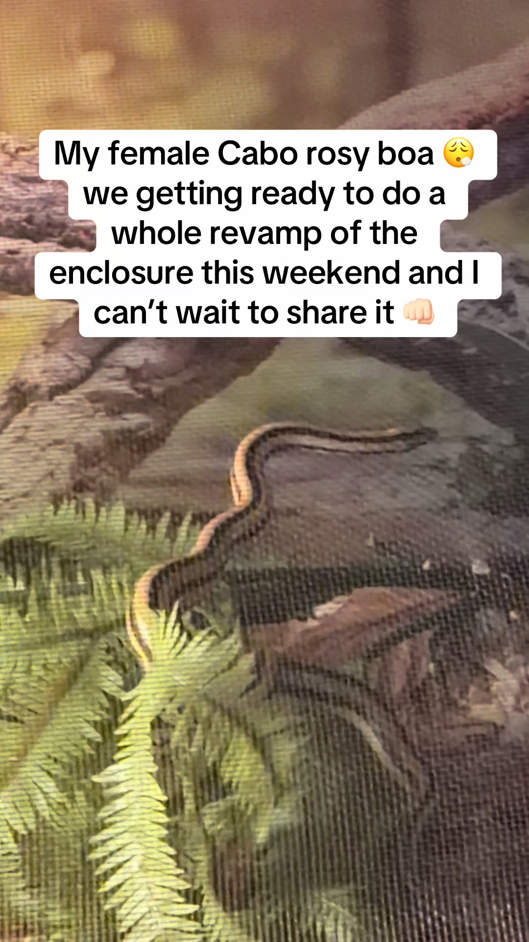 @𝓣𝓻𝓮𝓷𝓽𝓸𝓷