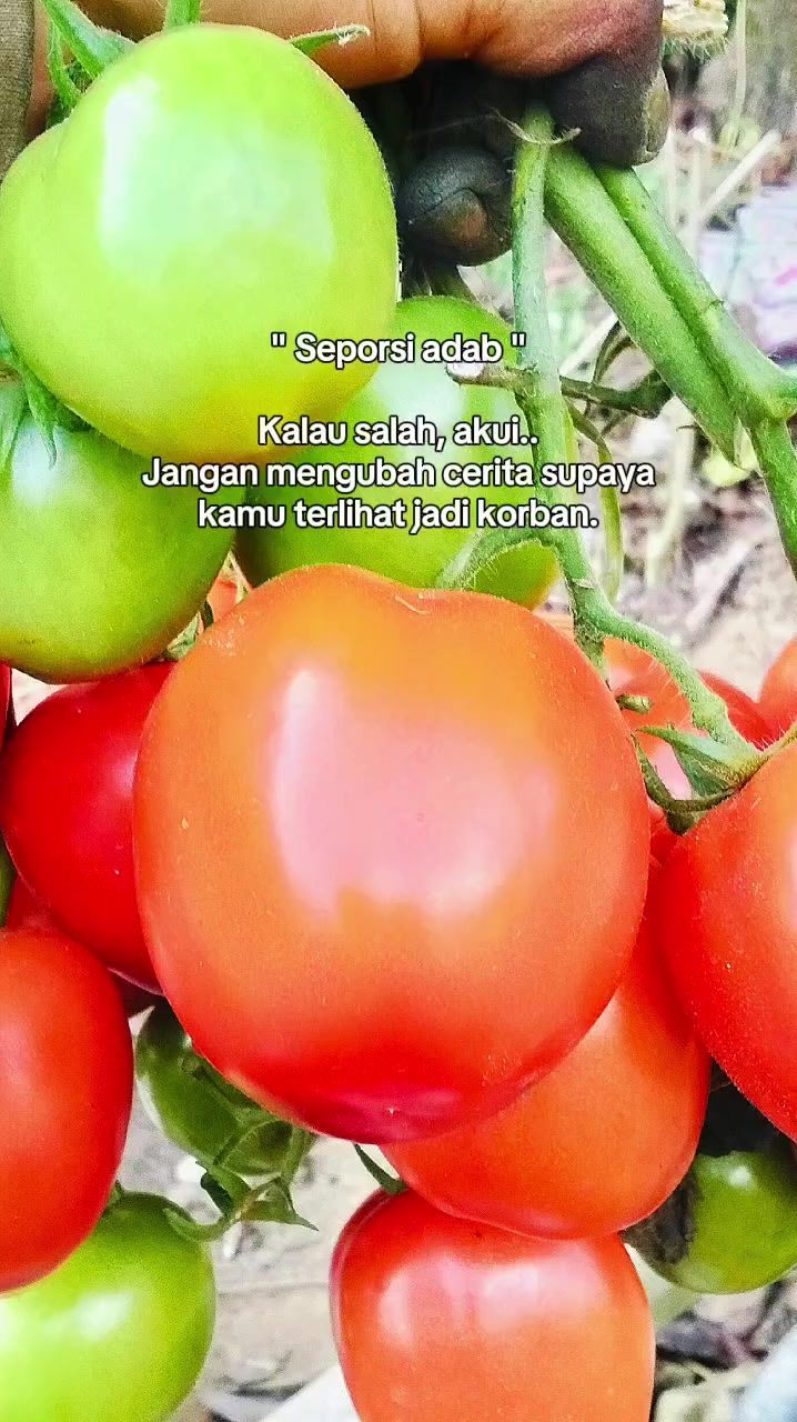 @zhanti