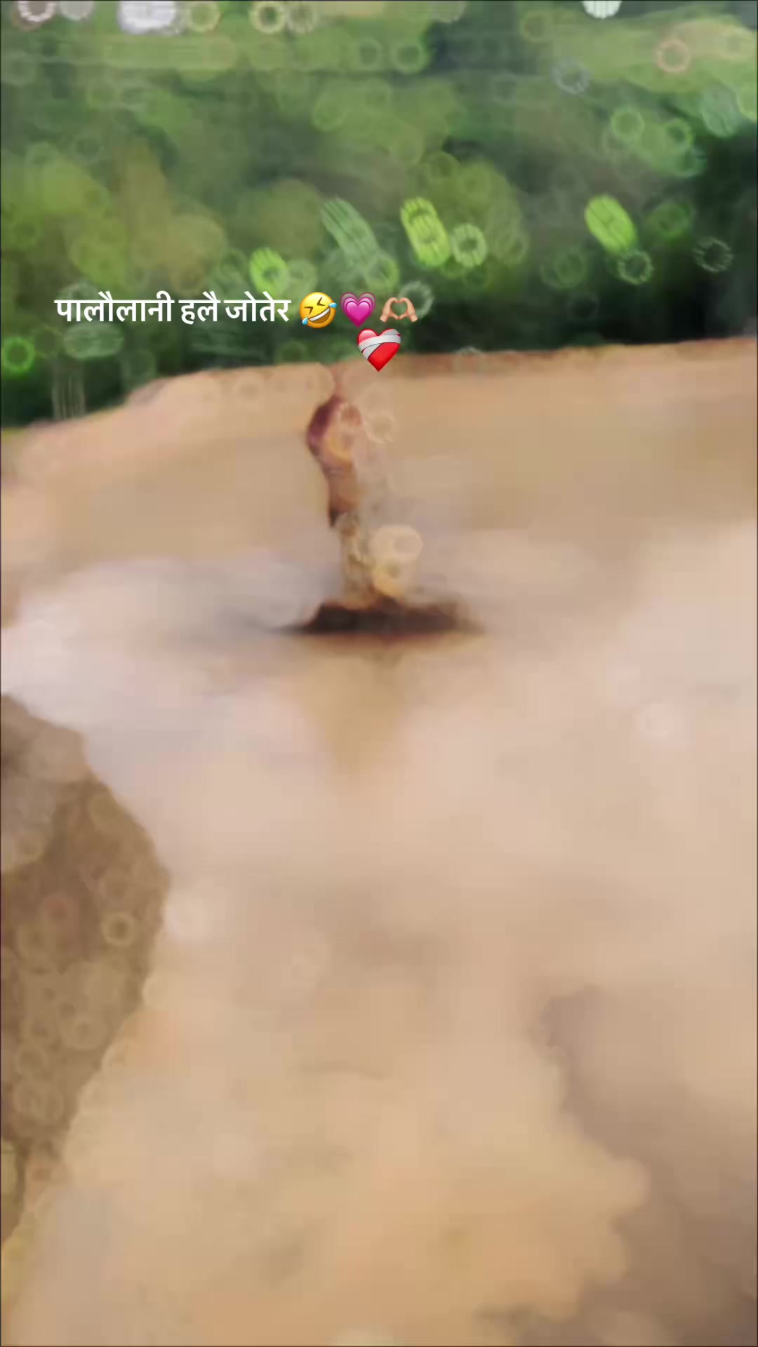 @सुबास चालिसे☺️🇳🇵🥀