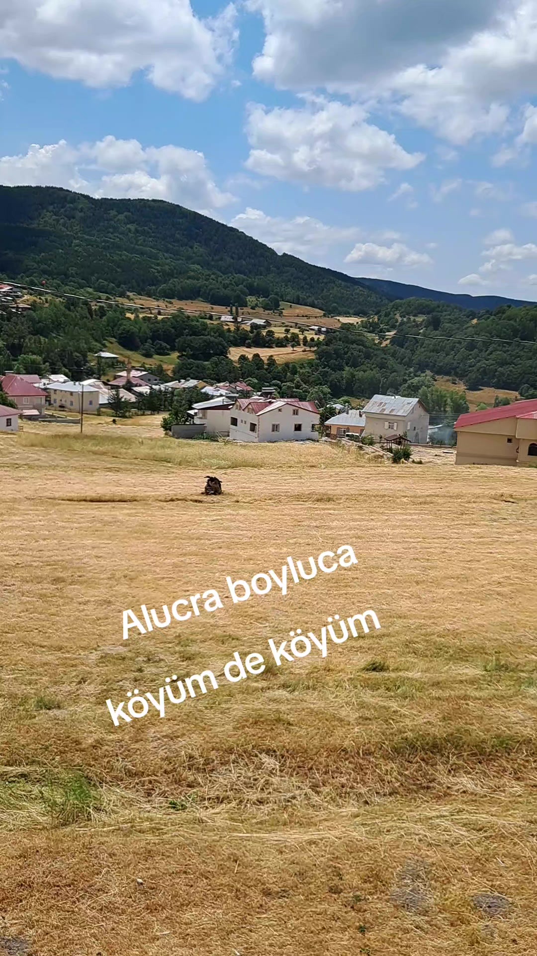 @Kirazli Nazli