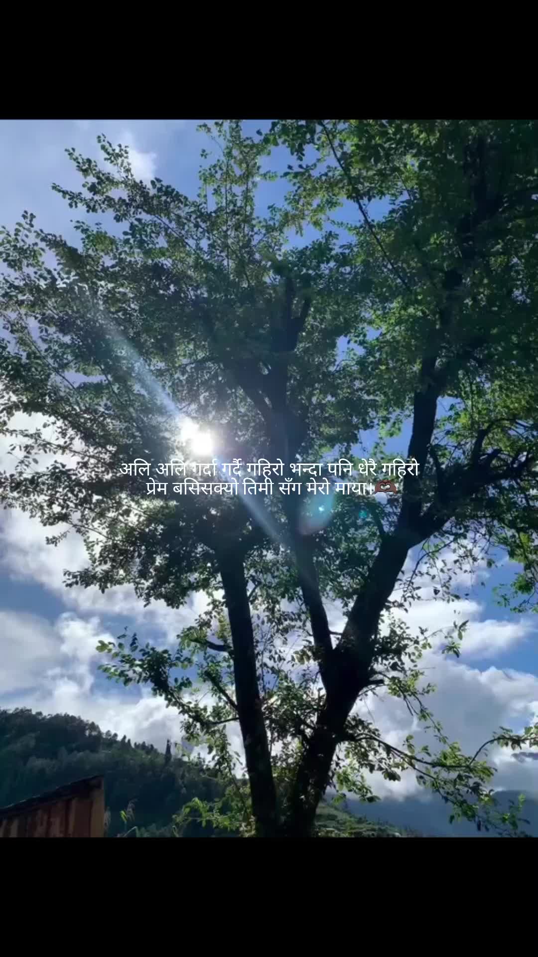 @अविशेक सोनी.....