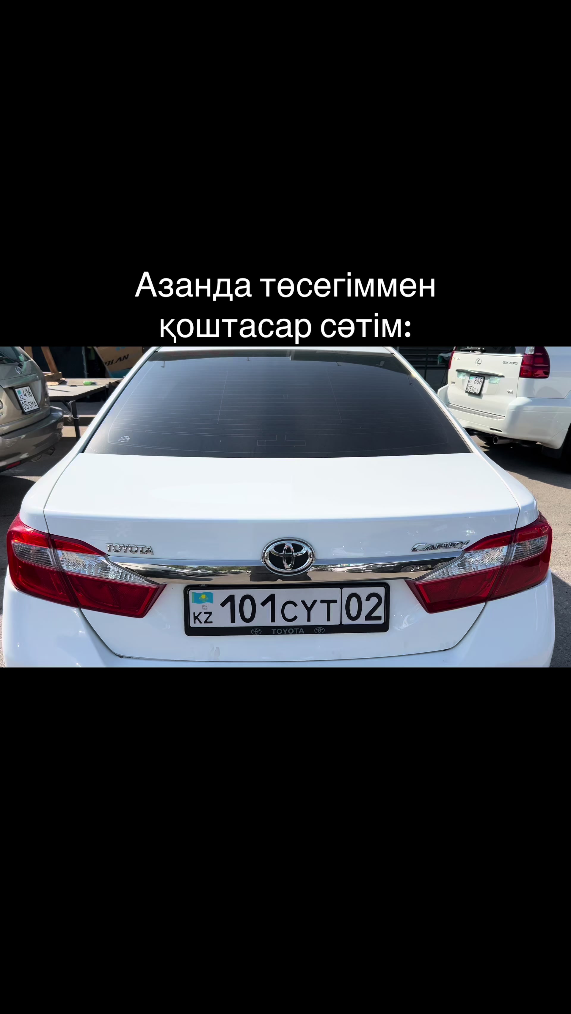 @101CYT