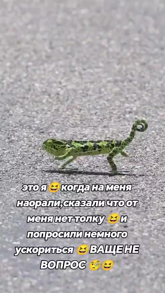 @𓆩ꨄ𓆪м.а.н.ю.н.я 𓆩ꨄ𓆪