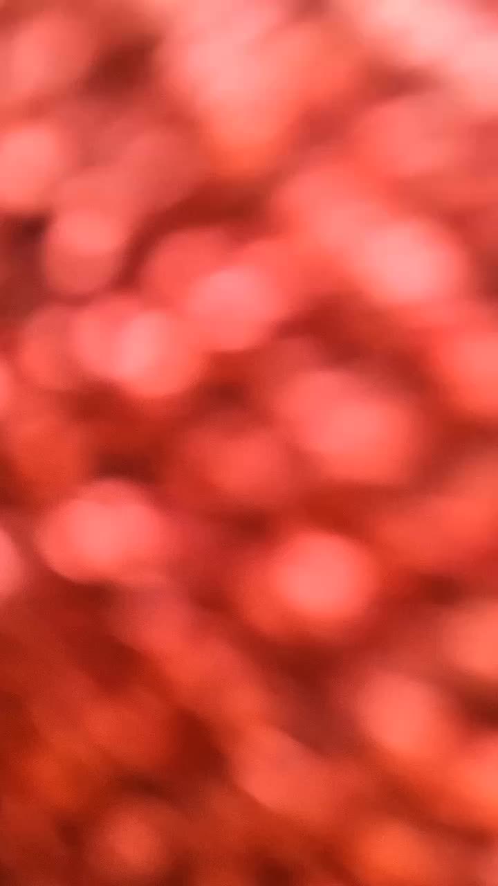 @Gita Sah