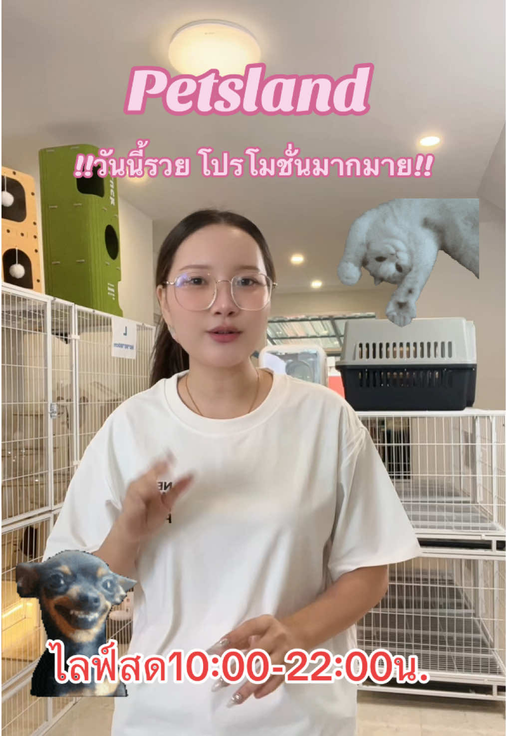 @petsland