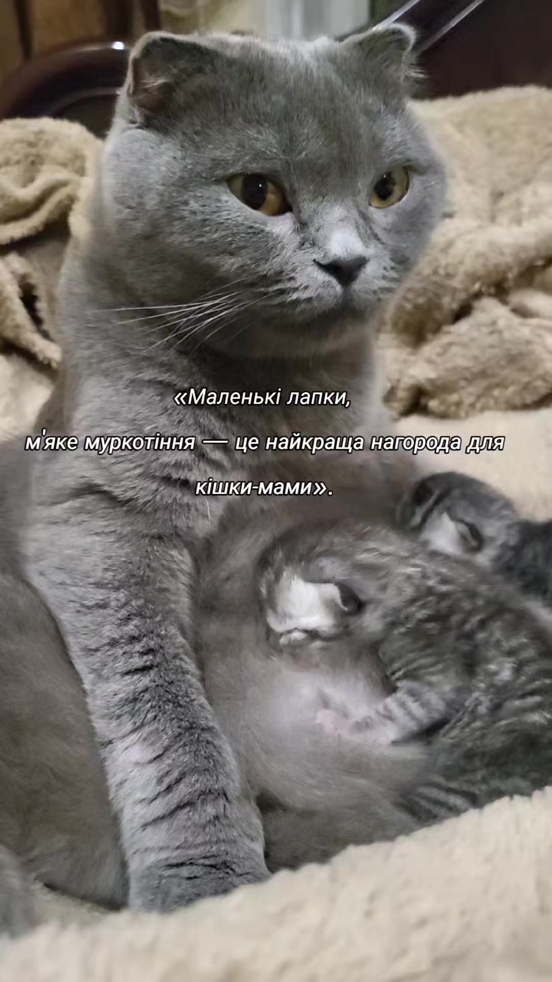 @Zorka