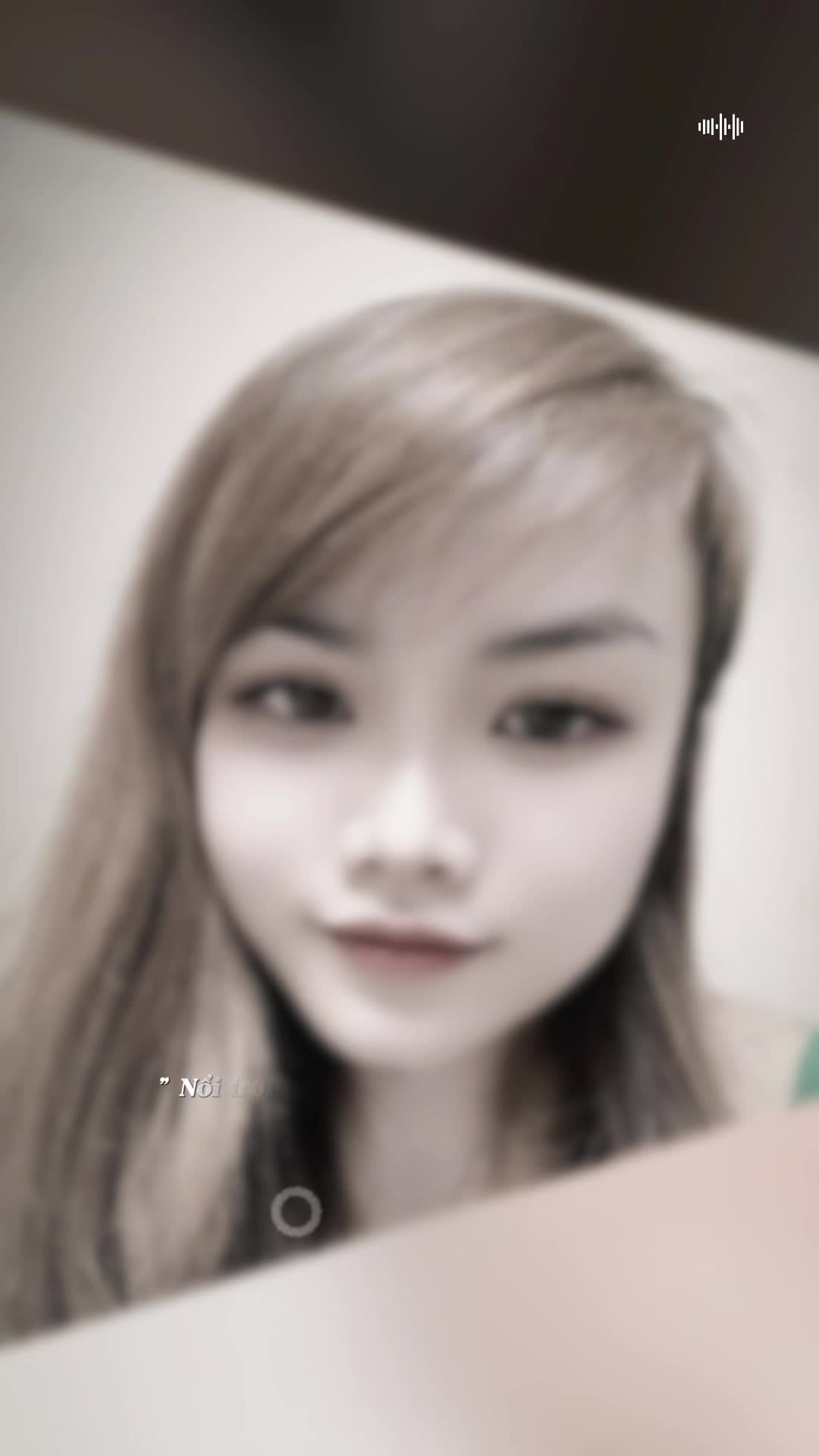 @gấu trúc