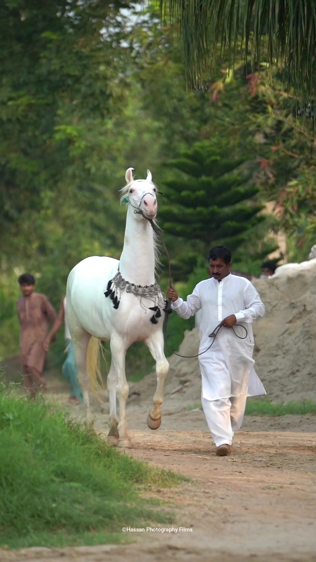 @SUNRISE STUD FARMS RAWALPINDI