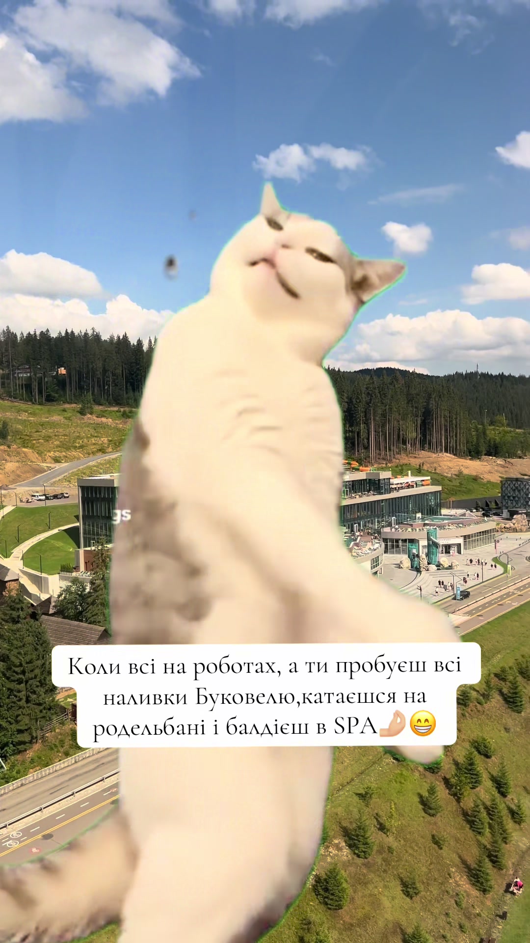 @VITALINA
