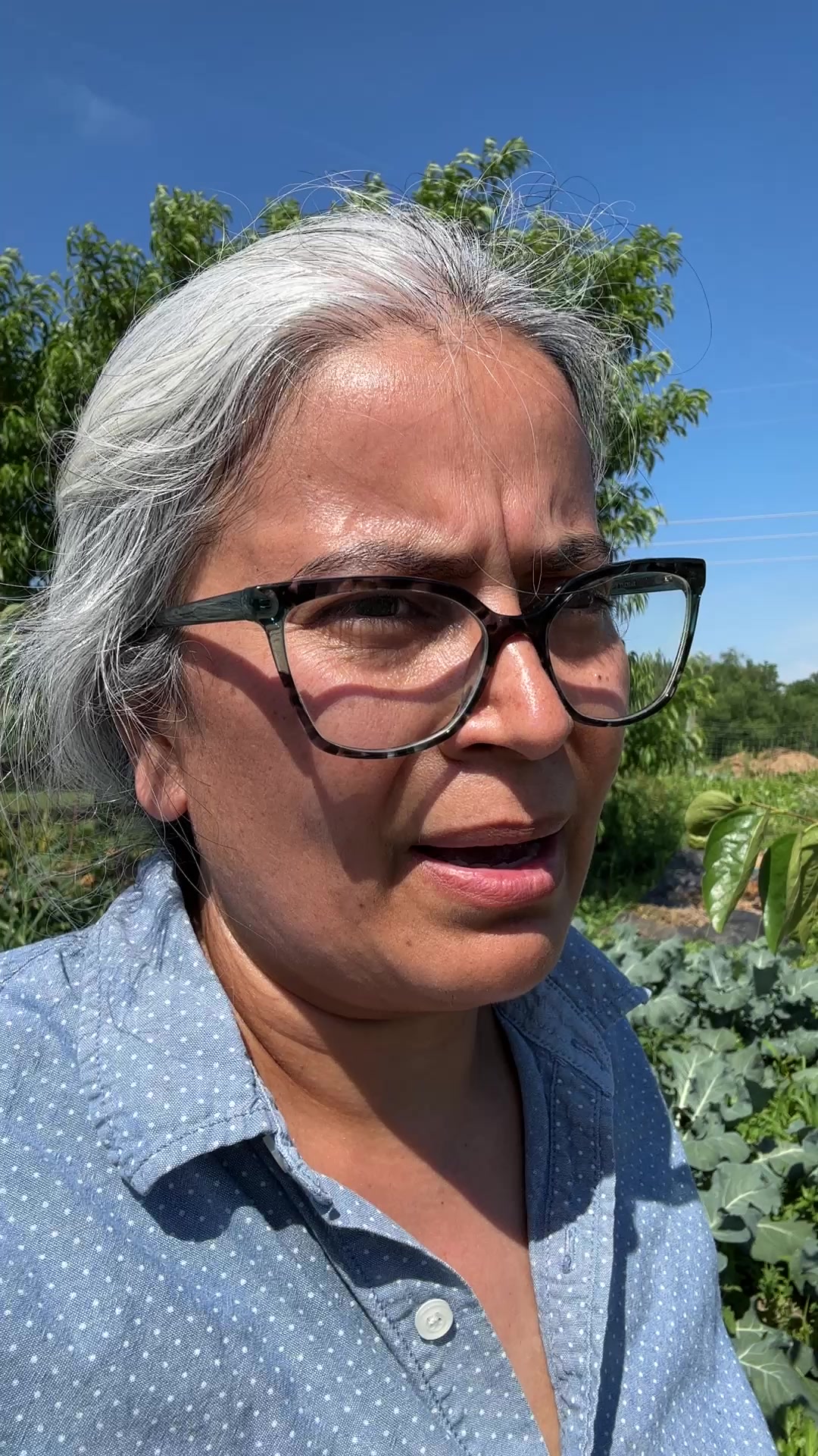 @आमा र जग्गुदिदी