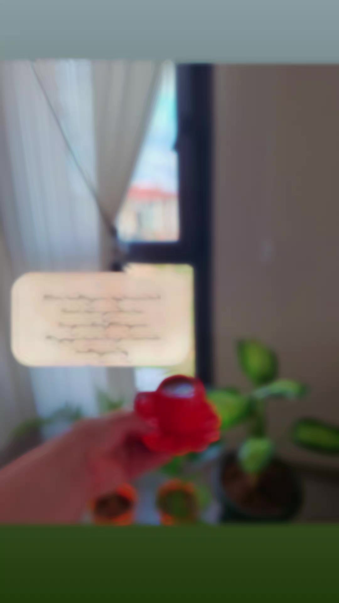 @kahveciannehome