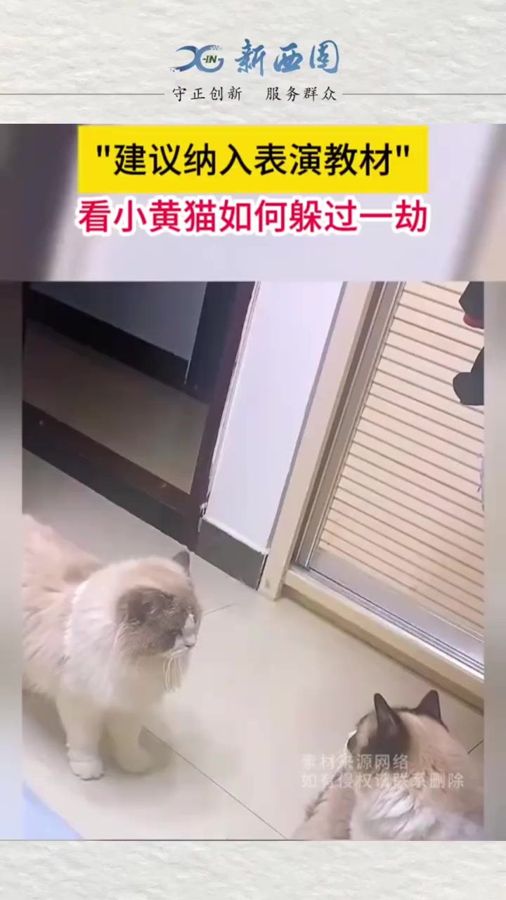 @林京一