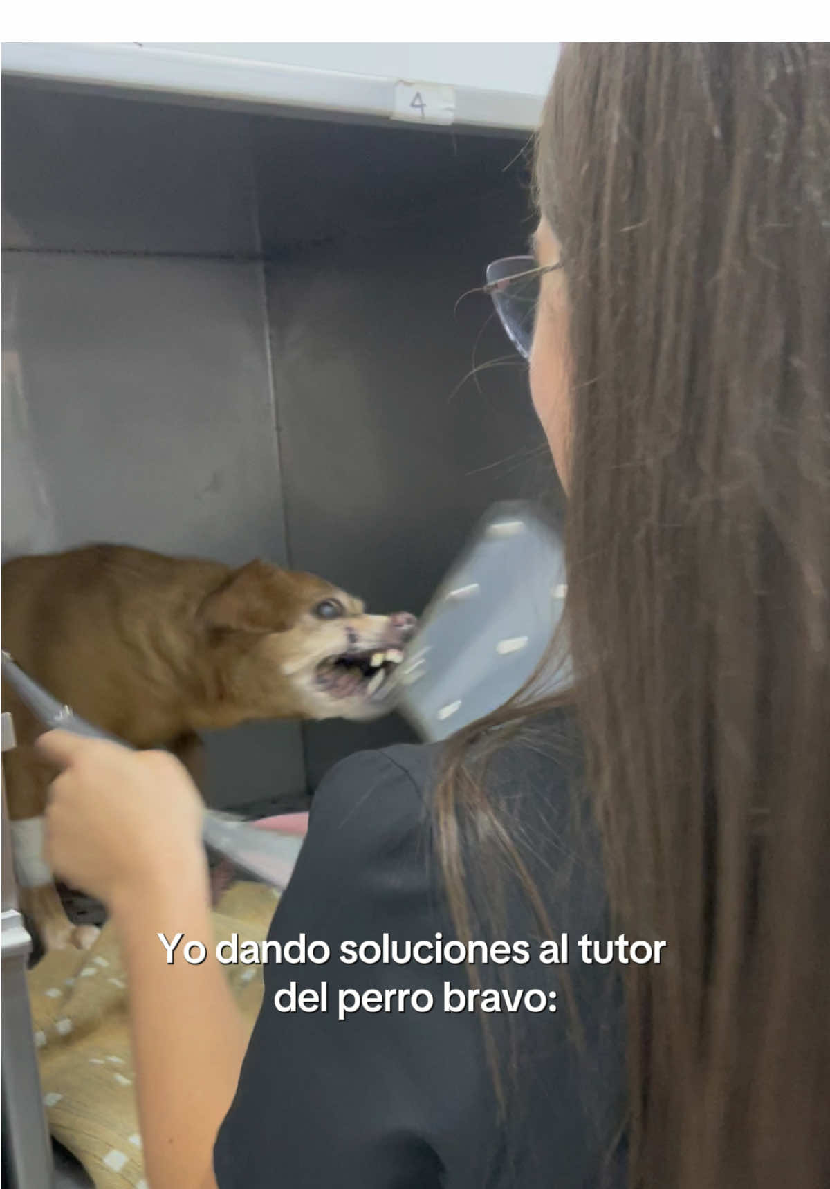 @Stephania