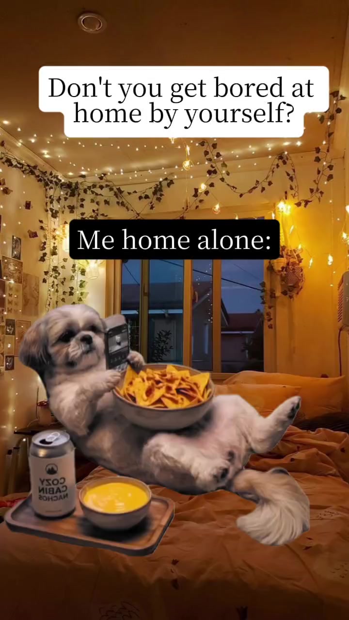 @𝑹𝒐𝒉𝒊𝒏𝒂 𝑨𝒓𝒊𝒇