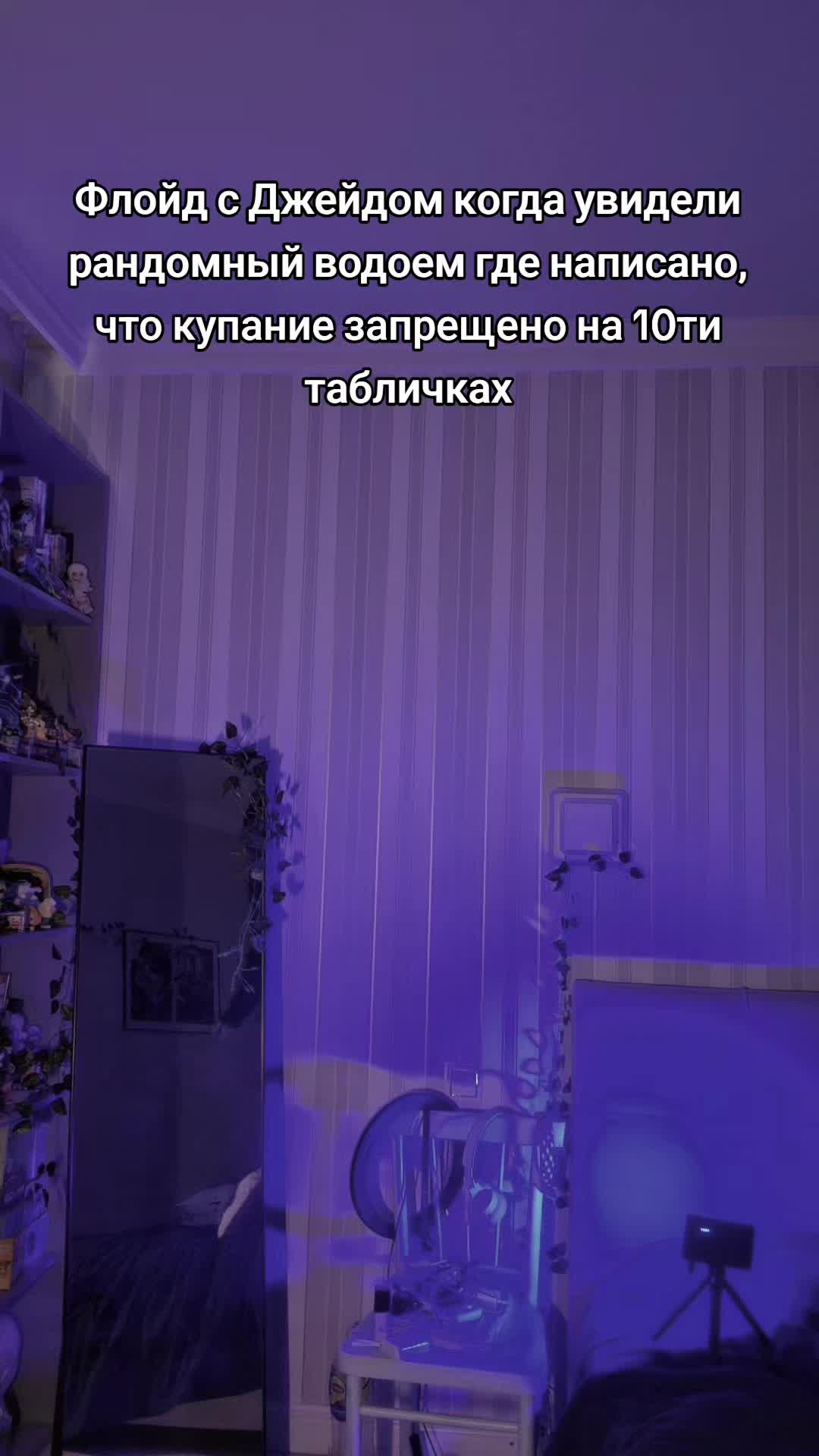 @тгк: у мопса депрессия