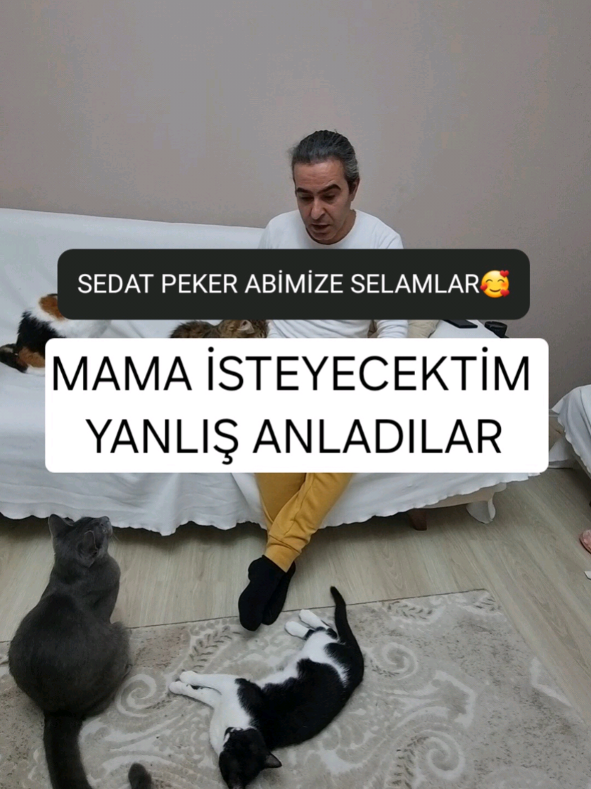 @kedichico