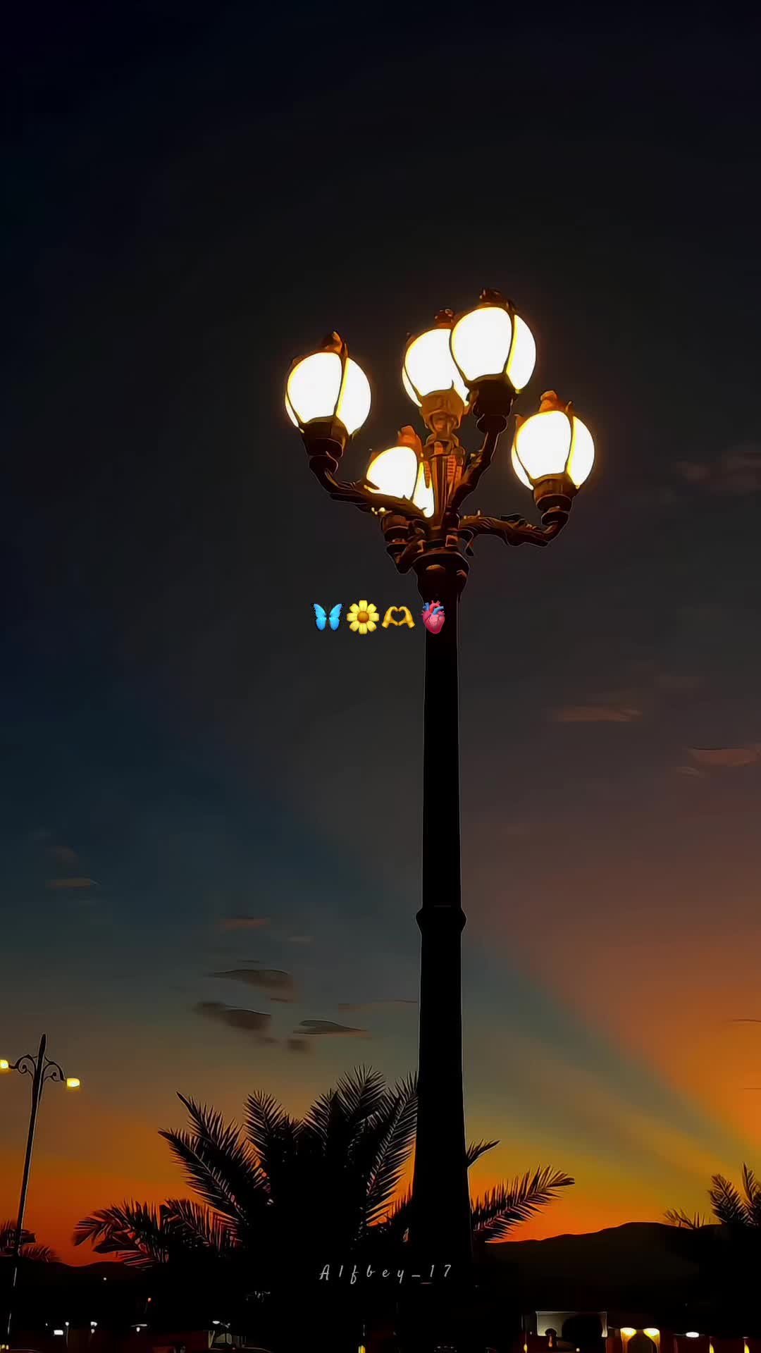 @alifbey🕊️
