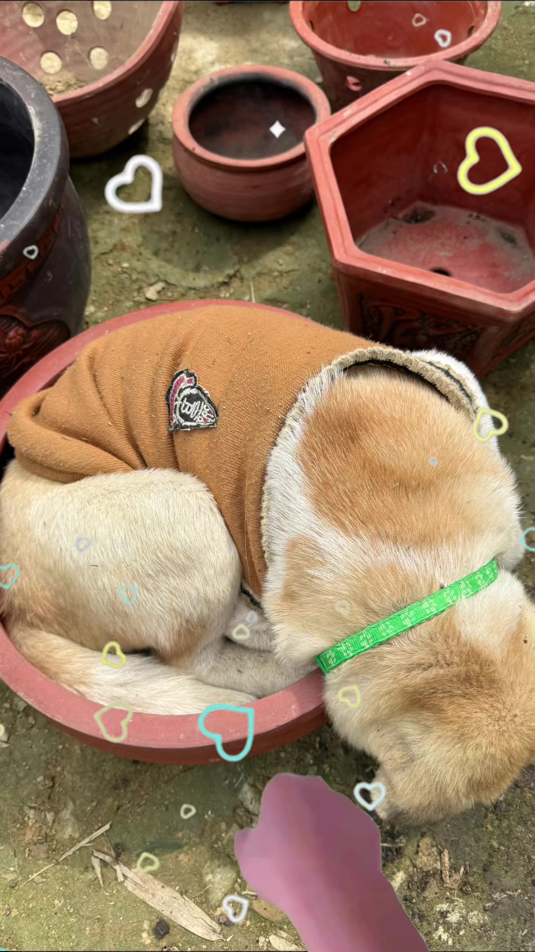 @H&agrave; Thị Mu&ocirc;n