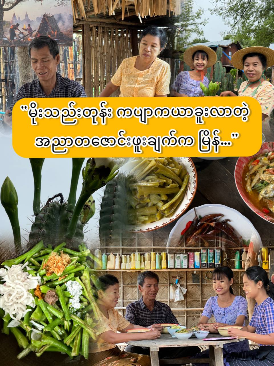 @Yar Taw Thu - ယာတောသူ