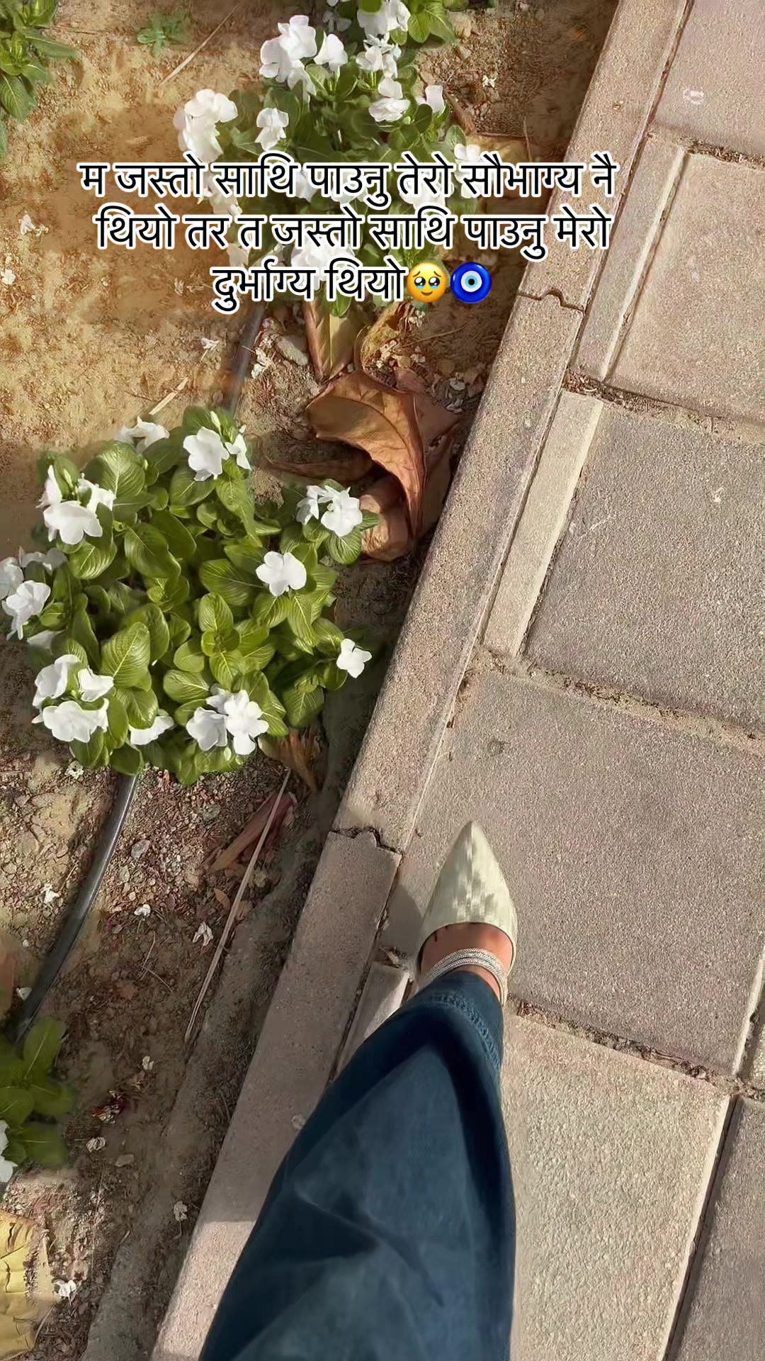 @kanxu🧿🌸