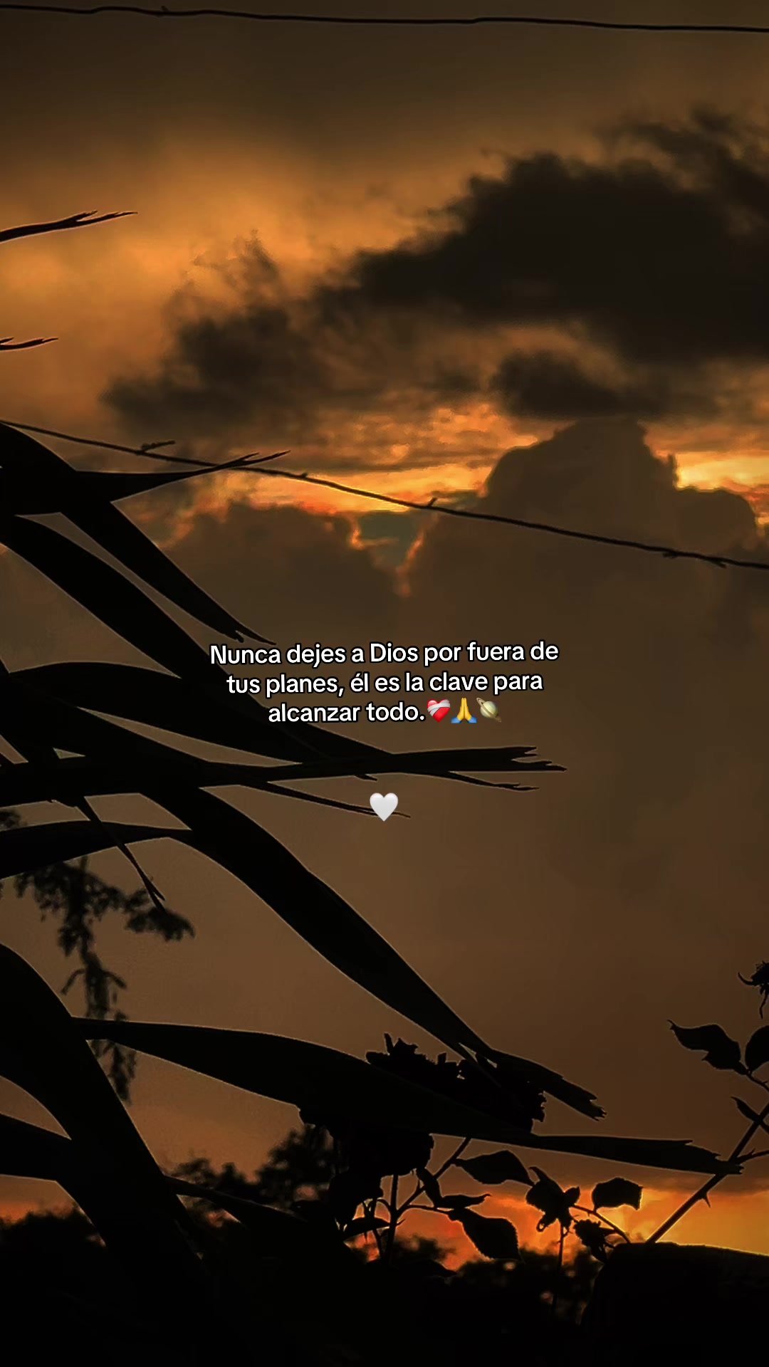 @๐ฅ๐
La naturaleza ๐๐