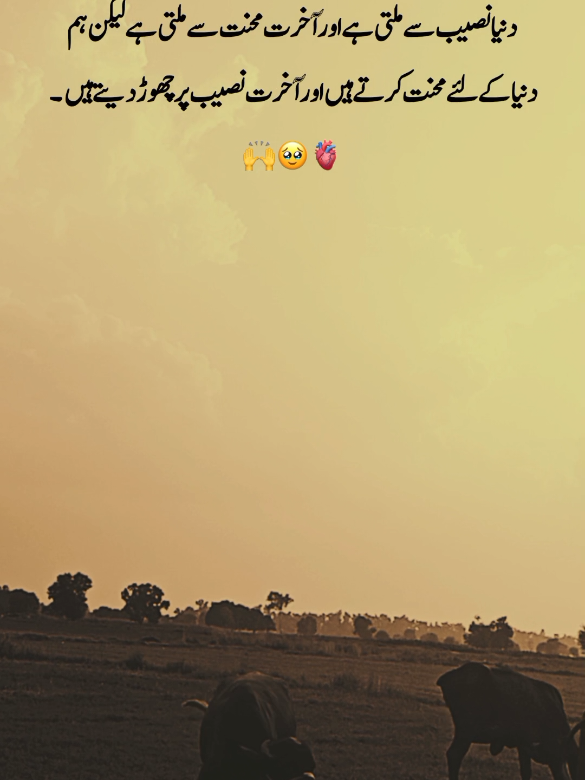 @احمد رائٹس