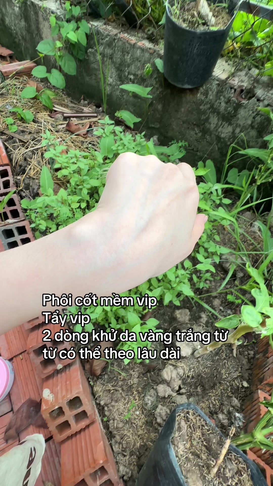 @hồng ân