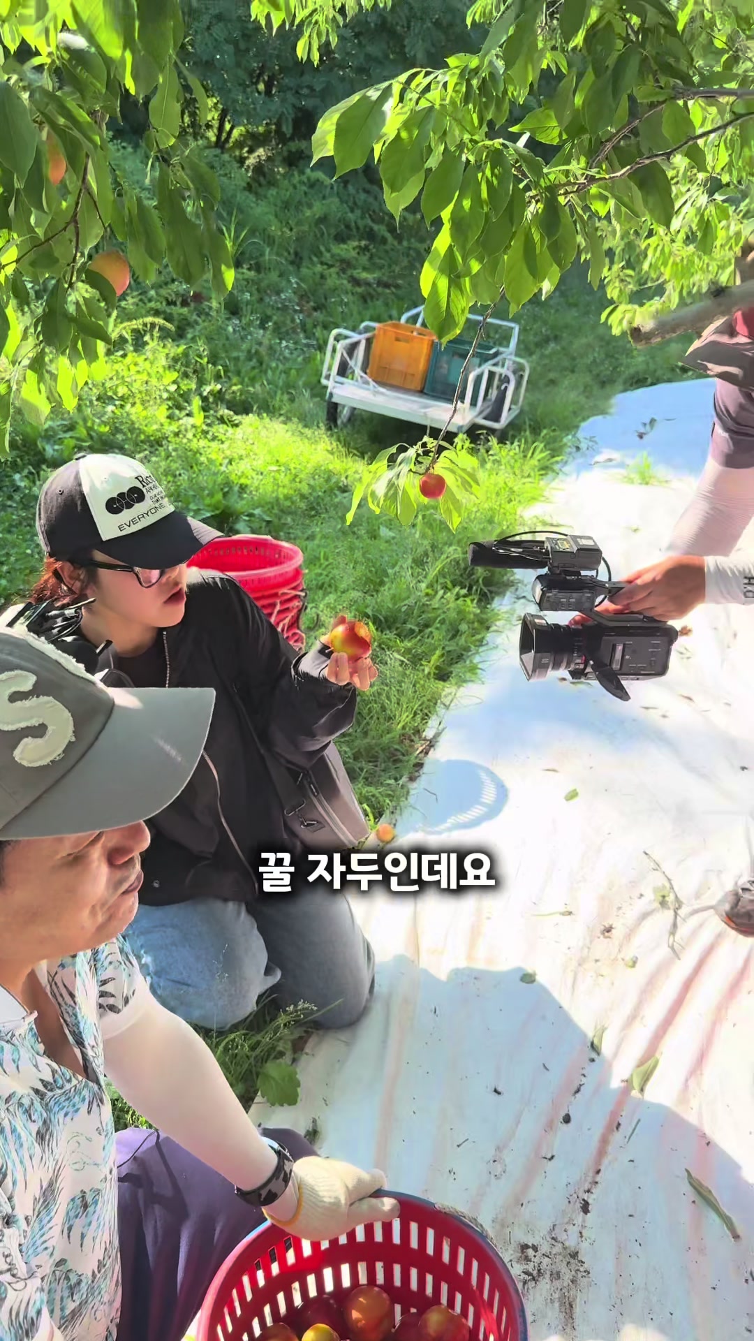 @은주네농원&슬기로운 시골생활