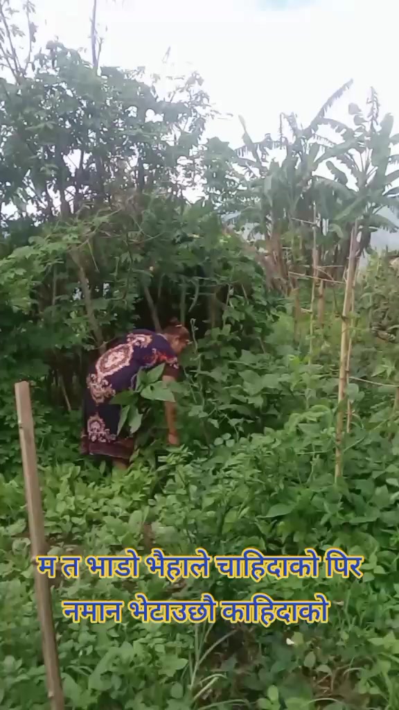 @kalpana