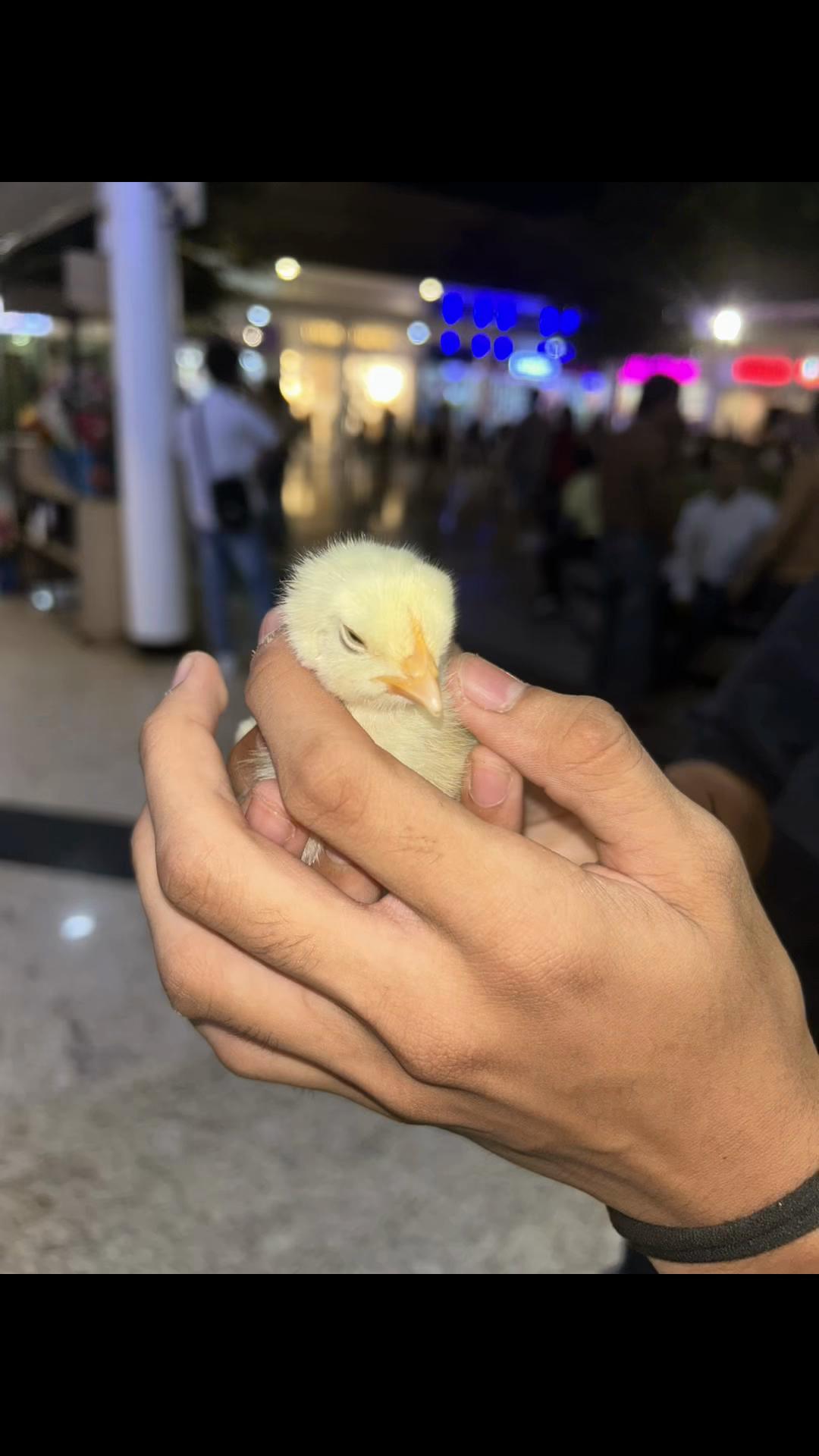 @𝒥𝒰𝒜𝒩𝑀𝒜!!
