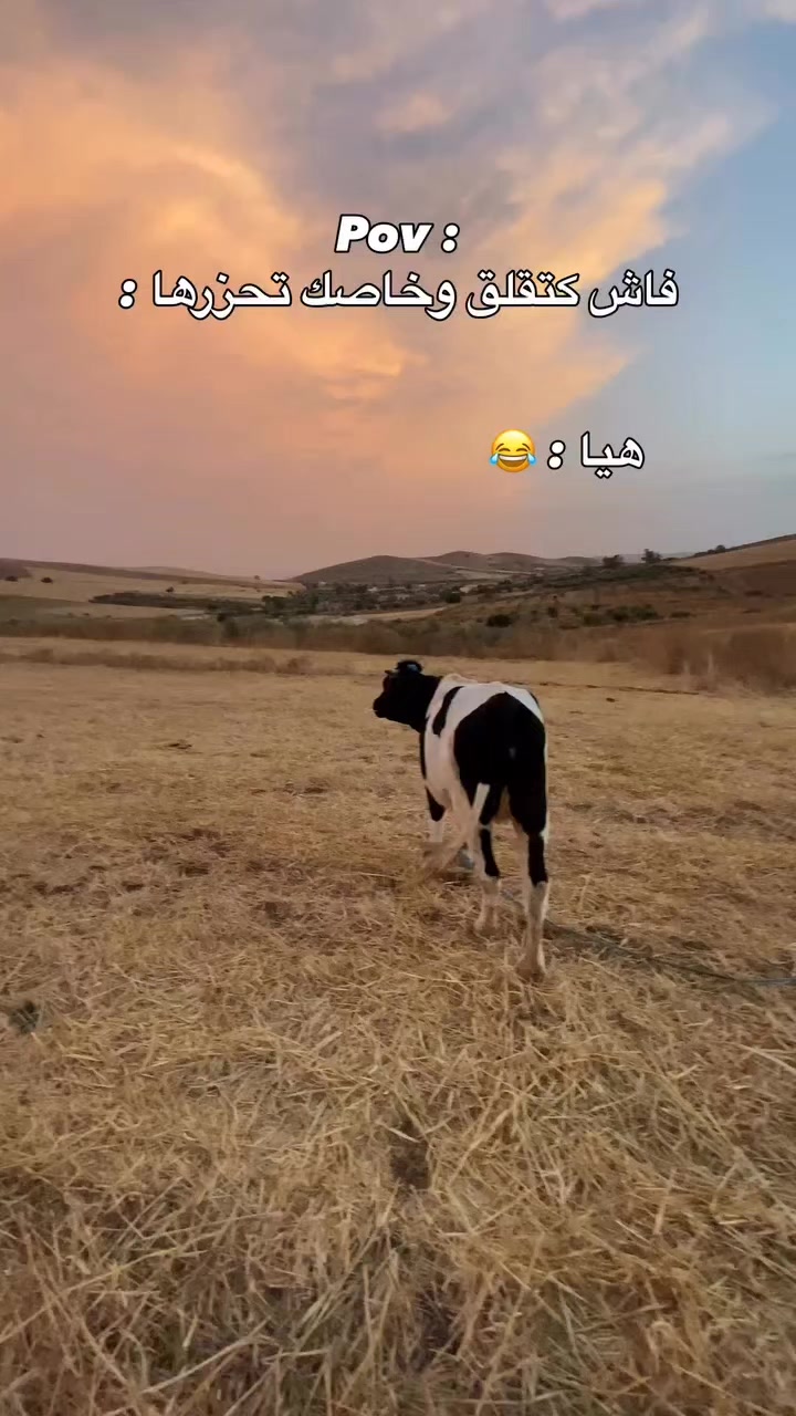 @@👑مرحوم،حسني💔