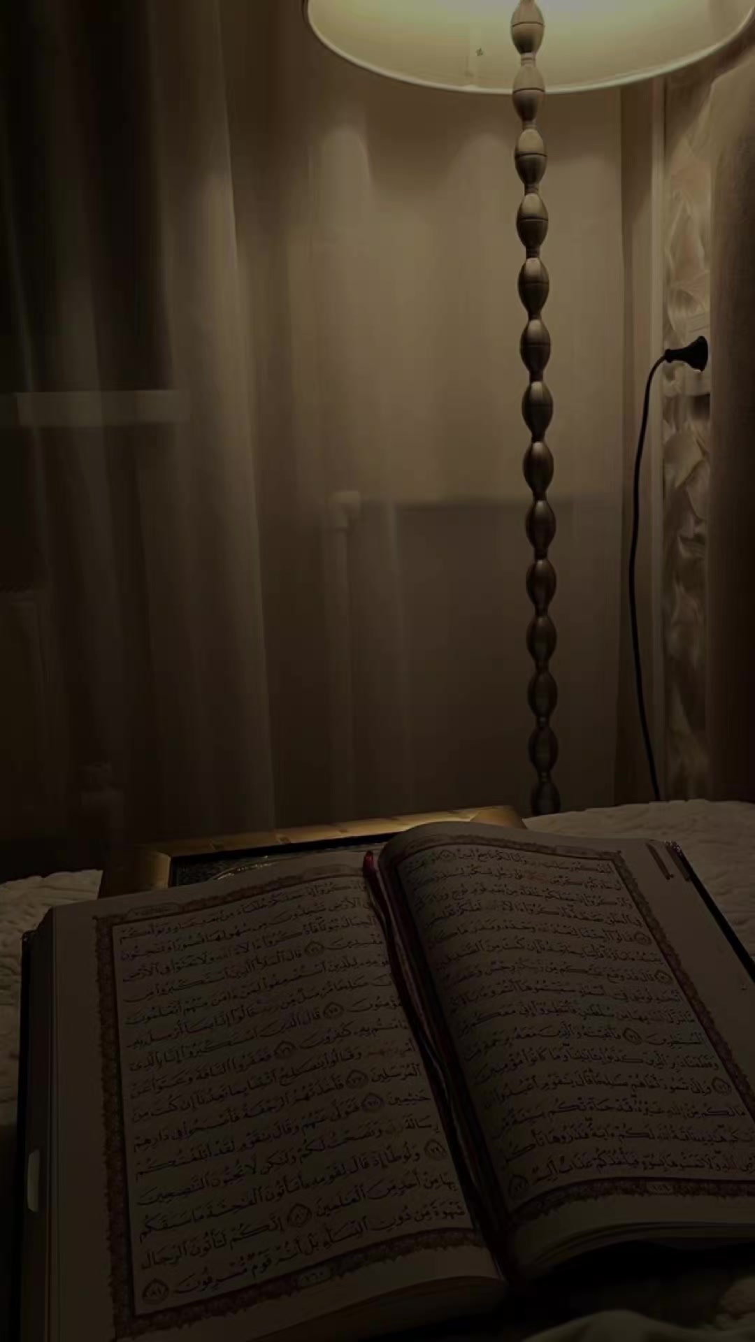 @بـيار خـيرالله ✪