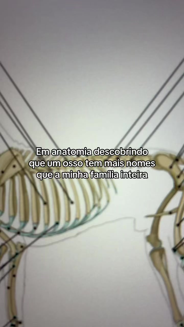 @Fernando 🇧🇷
