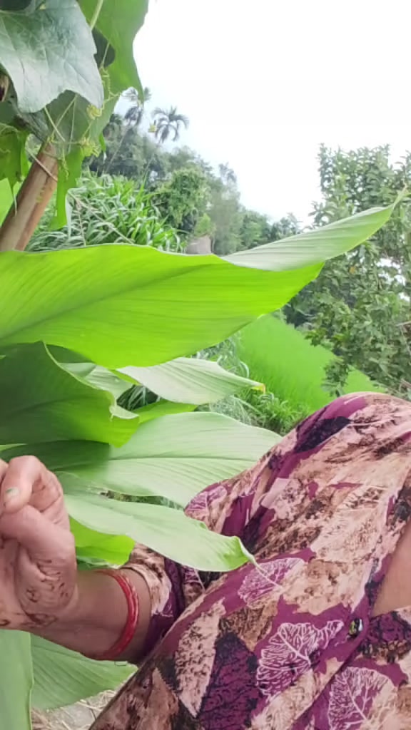 @kamalawagle00