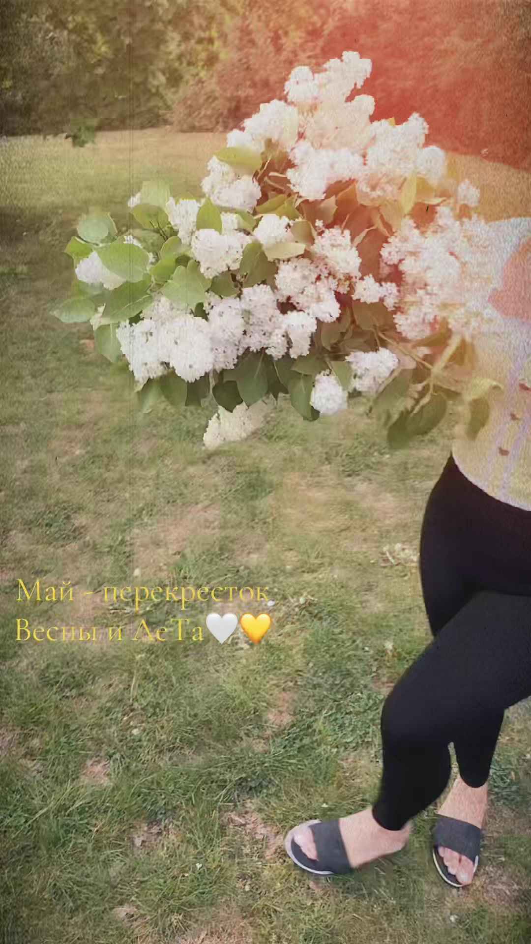 @Violina🎀