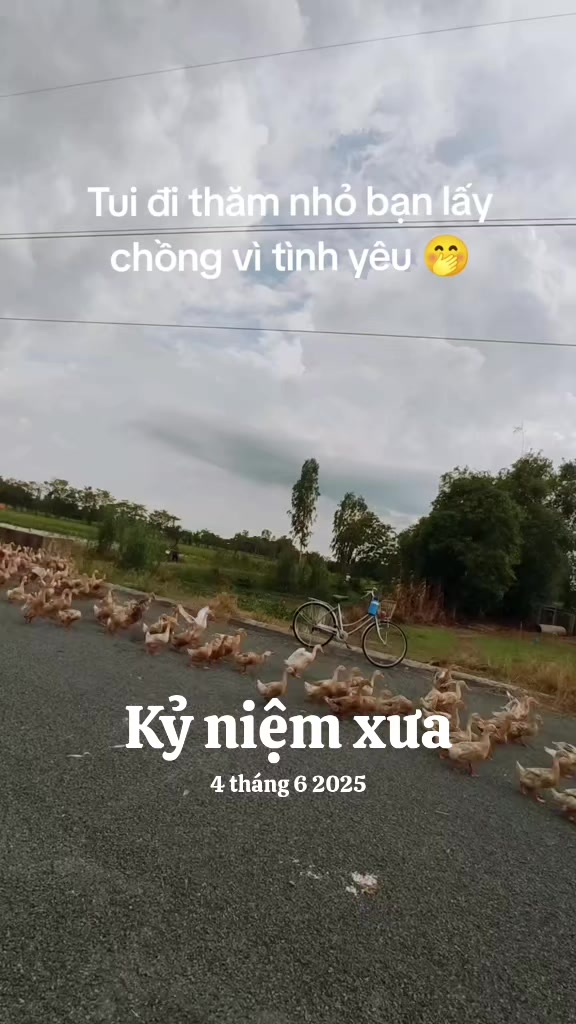 @Nhà Xe Tấn Tài An Giang