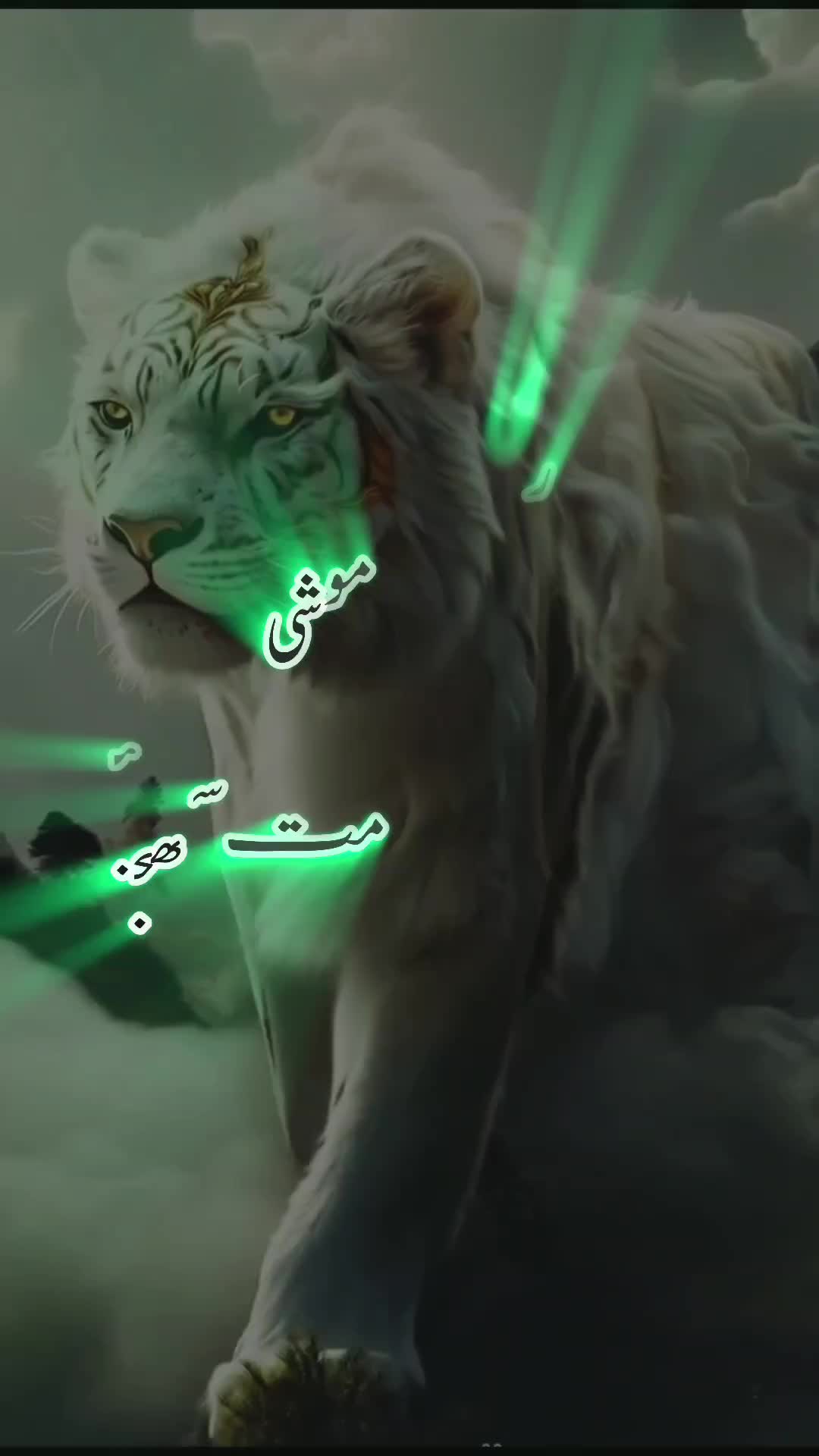 @ببر شیر
