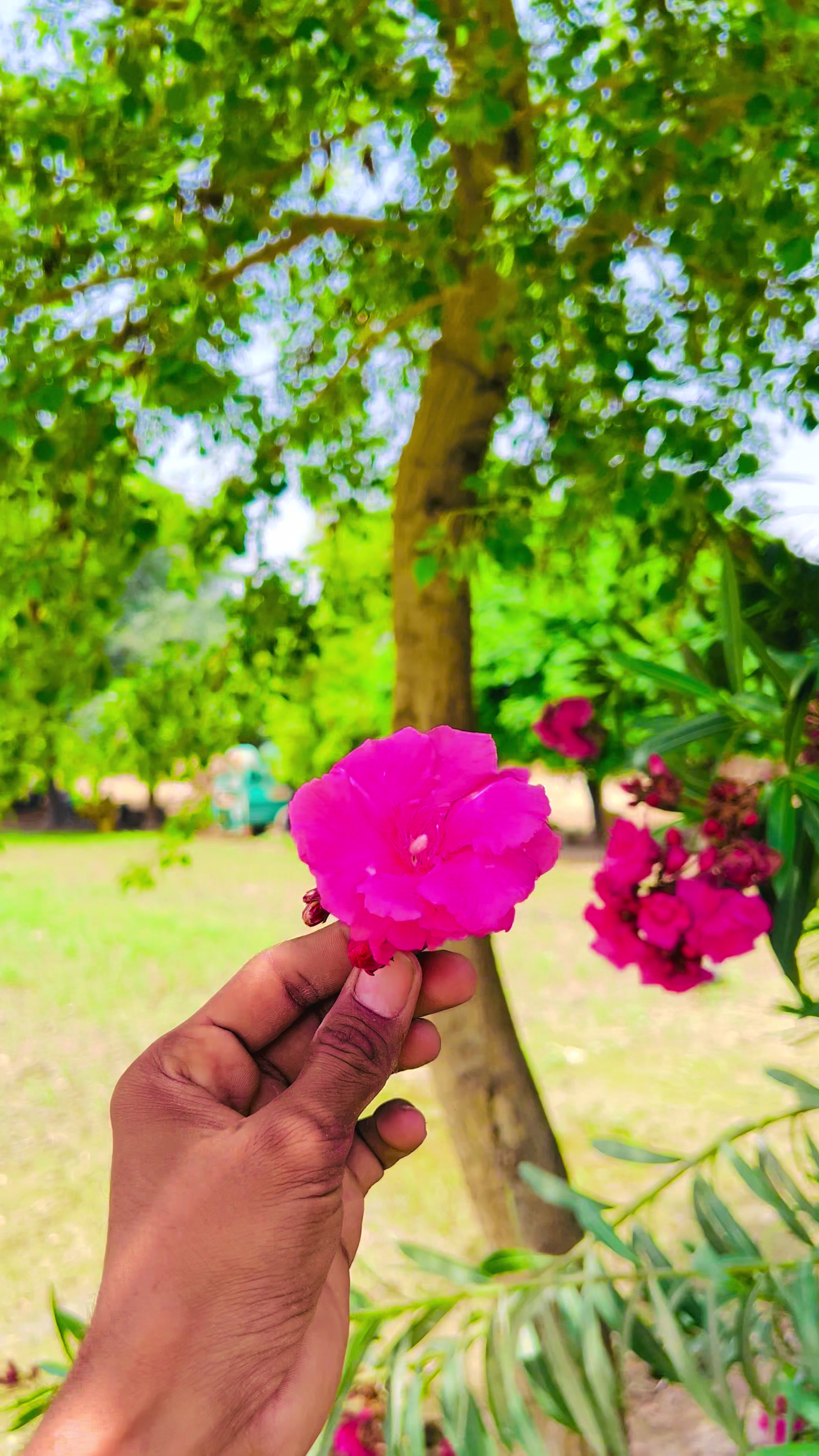 @پِنڈاں آلے ⁉️⚠️