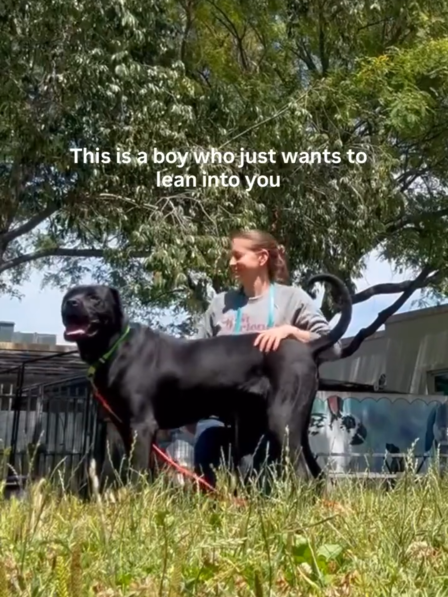 @Oakland Animal Services
