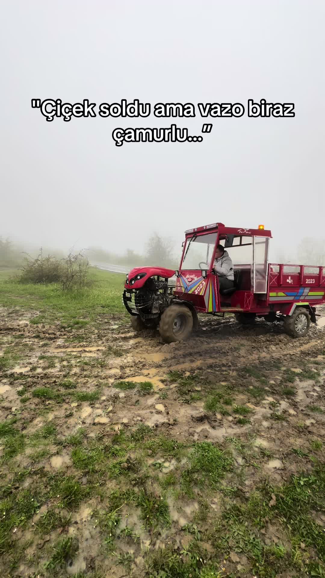 @Bolat seven birliği