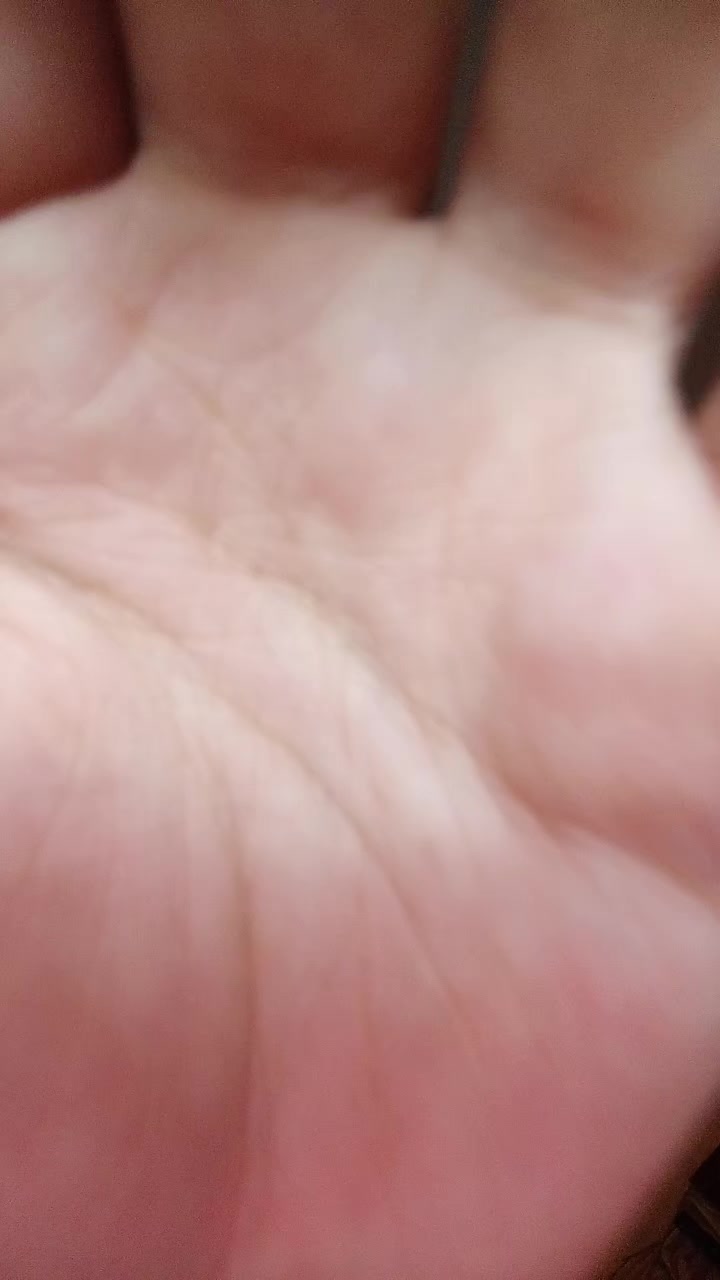 @Donya🫐