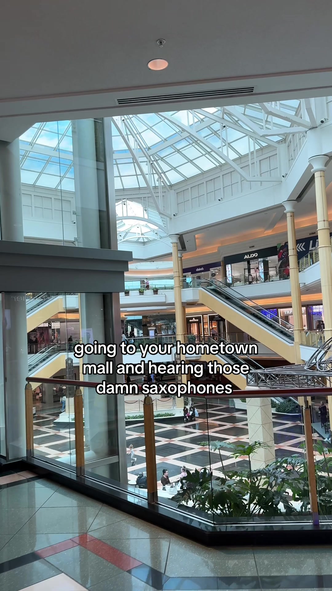 @joey morof
